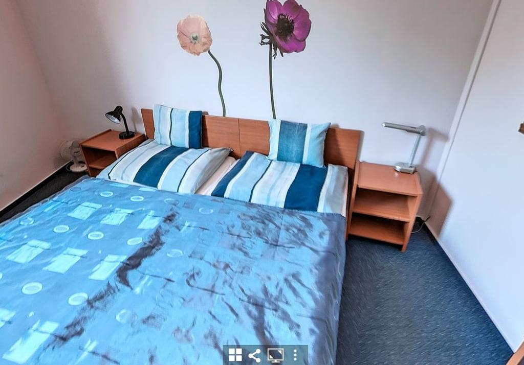 Timarhaz Panzio Bed & Breakfast Szeged Exterior photo